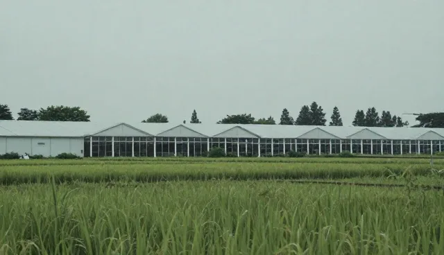 活动视频制作中如何提升内容吸引力